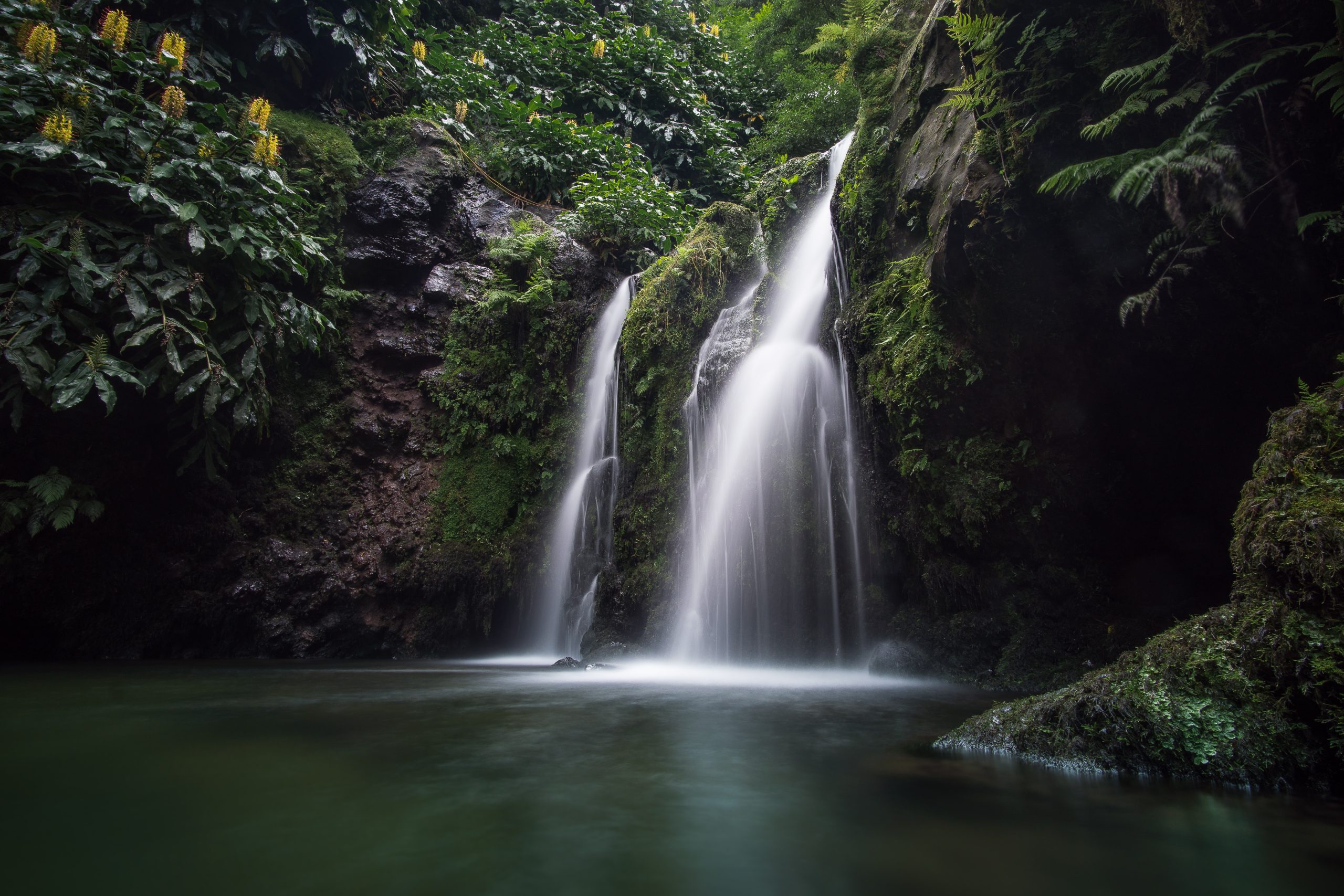 São Miguel, Az Azori-szigetek zöld szigete