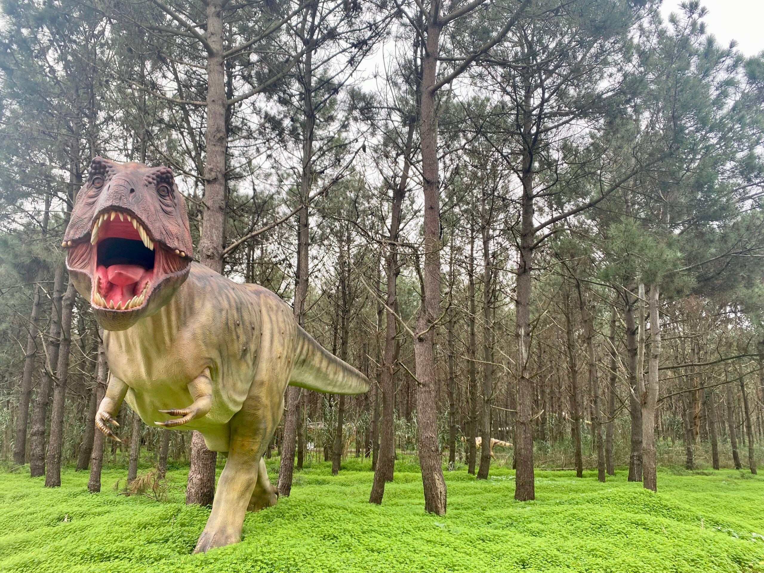 Portugalin dinosauruskaupunki Lourinhã