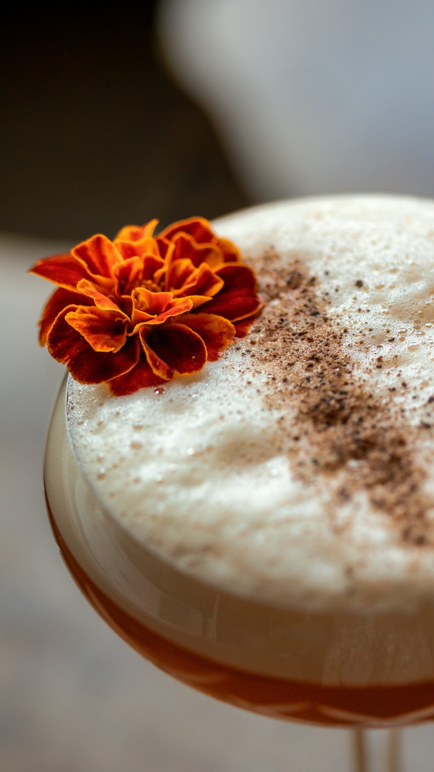 8 parasta cocktailbaaria Portossa