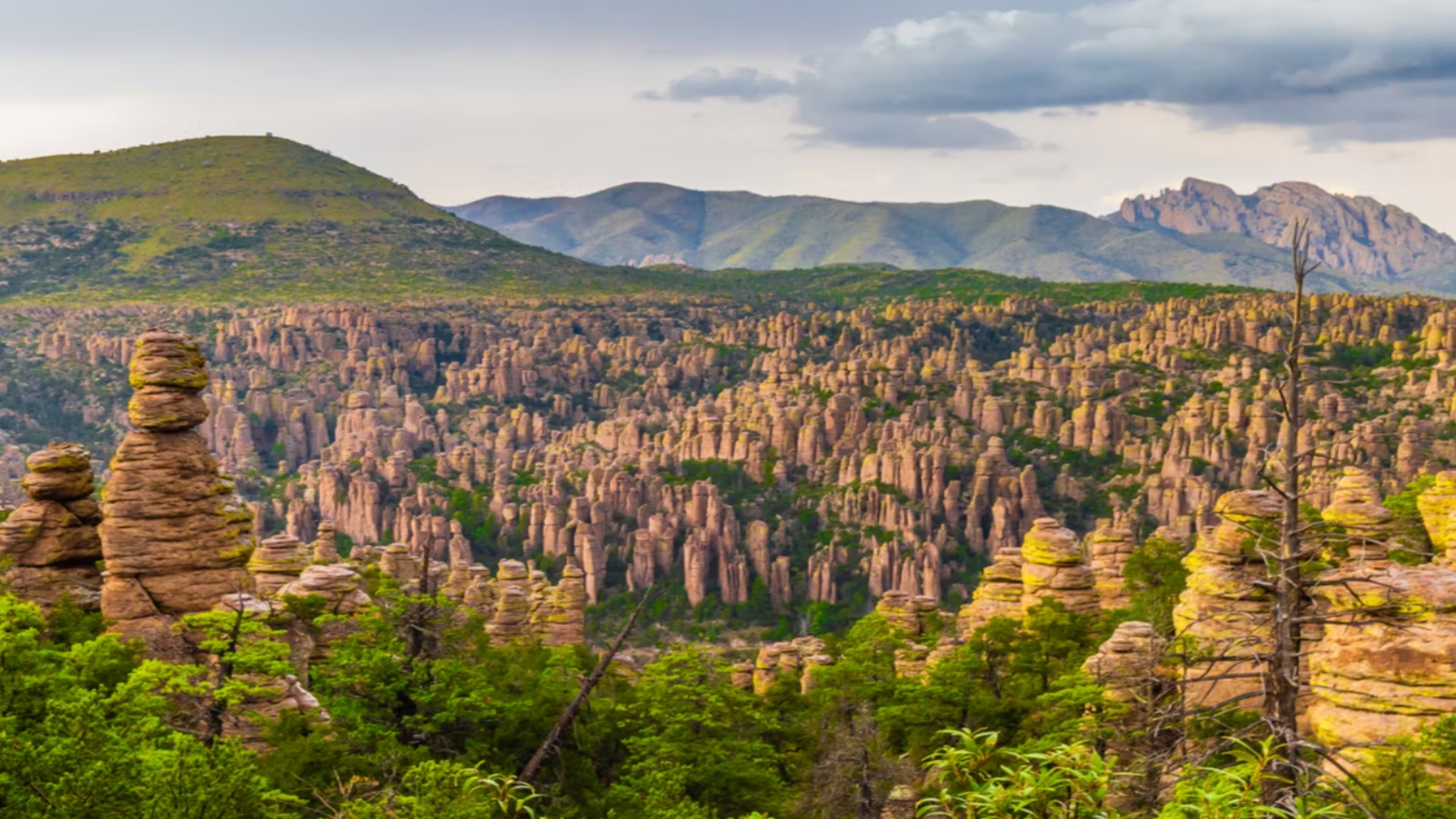 Tämä huomiotta jätetty Arizonan kansallispuisto näyttää suoraan Avatarista