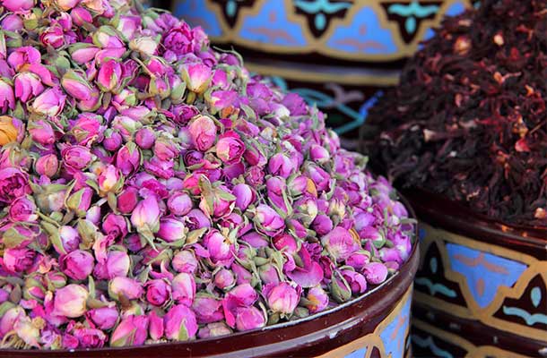 El-Kelaa M'Gouna Rose 