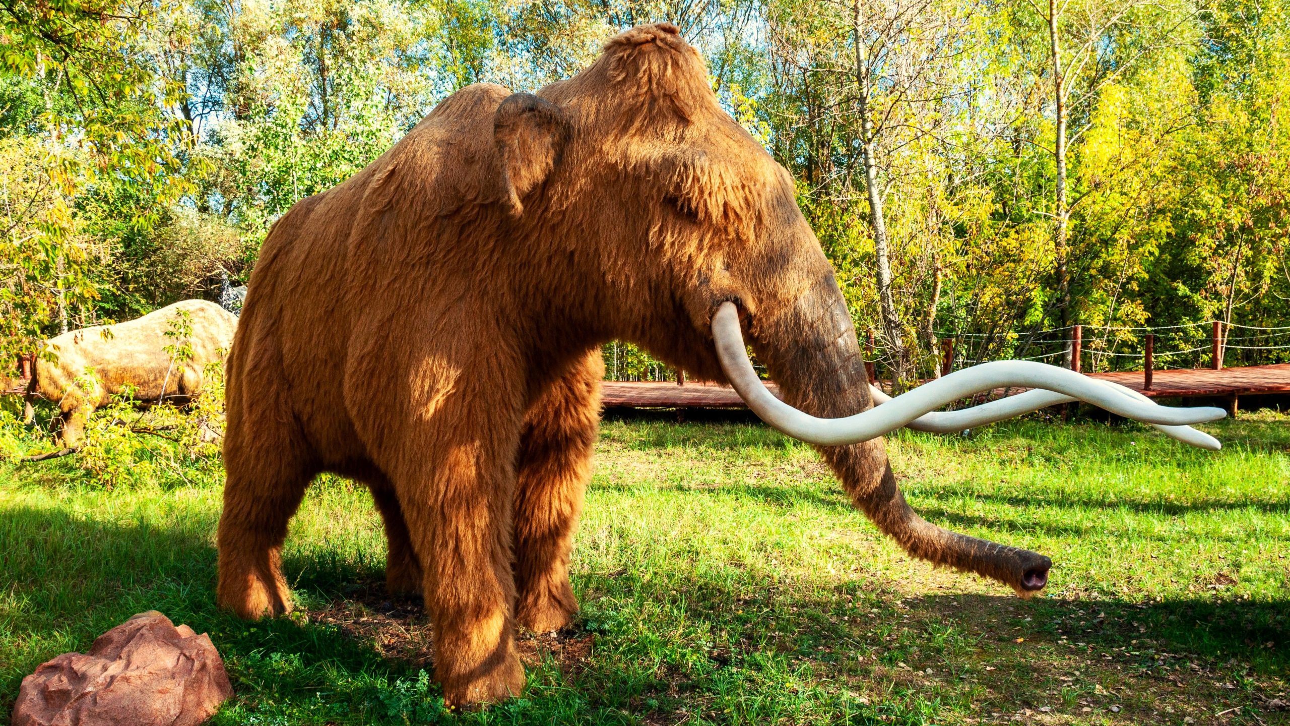 8 sukupuuttoon kuollut olentoa, jotka saattavat todellakin olla olemassa
