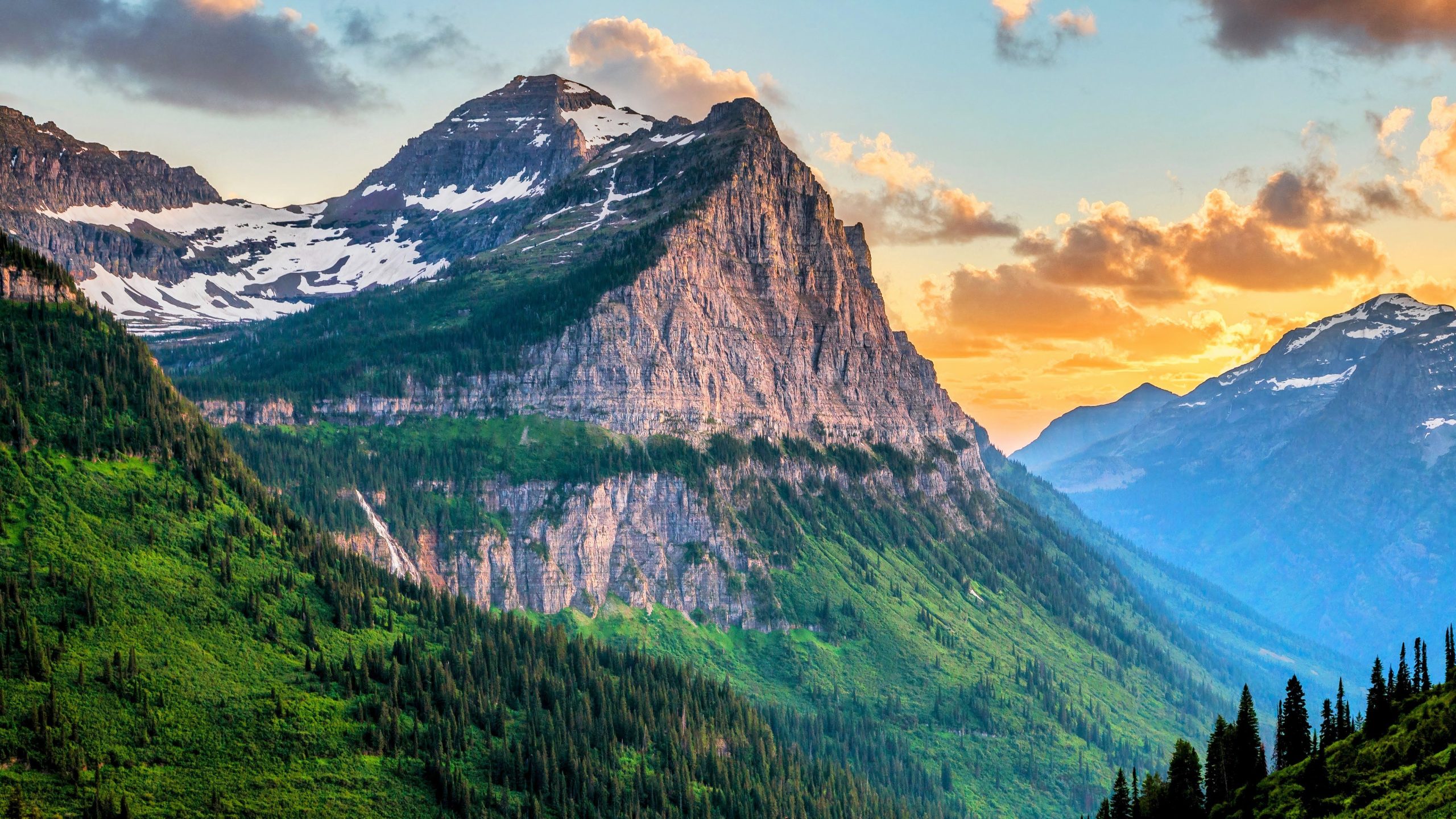 Kaikki puhuvat Yellowstonesta 