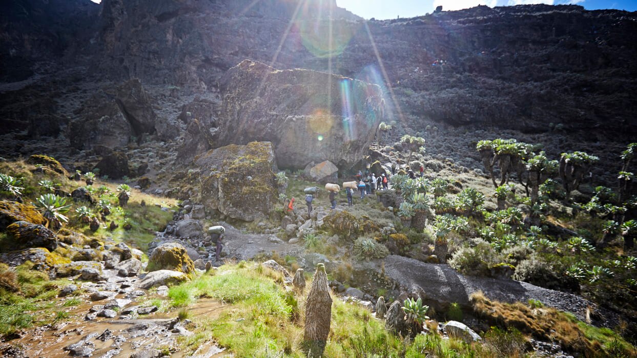 Kilimanjaro: Tansanian ainutlaatuinen kauneus
