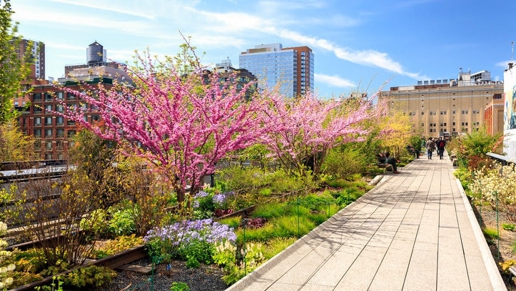 4 suositeltua pistettä Chelseassa 