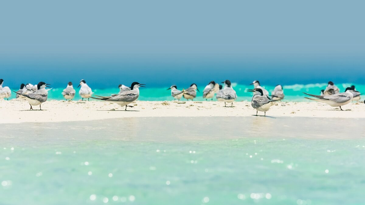 [Filippiinien maailmanperintö] 6 pakollista pistettä!