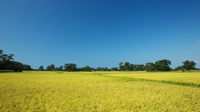 7 On vierailun turistikohtaa Kisakata-kaupungin ympärillä Nikaho Cityssä! Nauti Chokai 