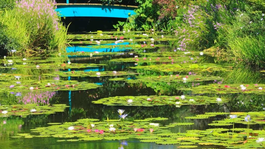 Suositeltu 4 turistikohtaa Kitagawan kylän ympärillä, Kochi Prefecture