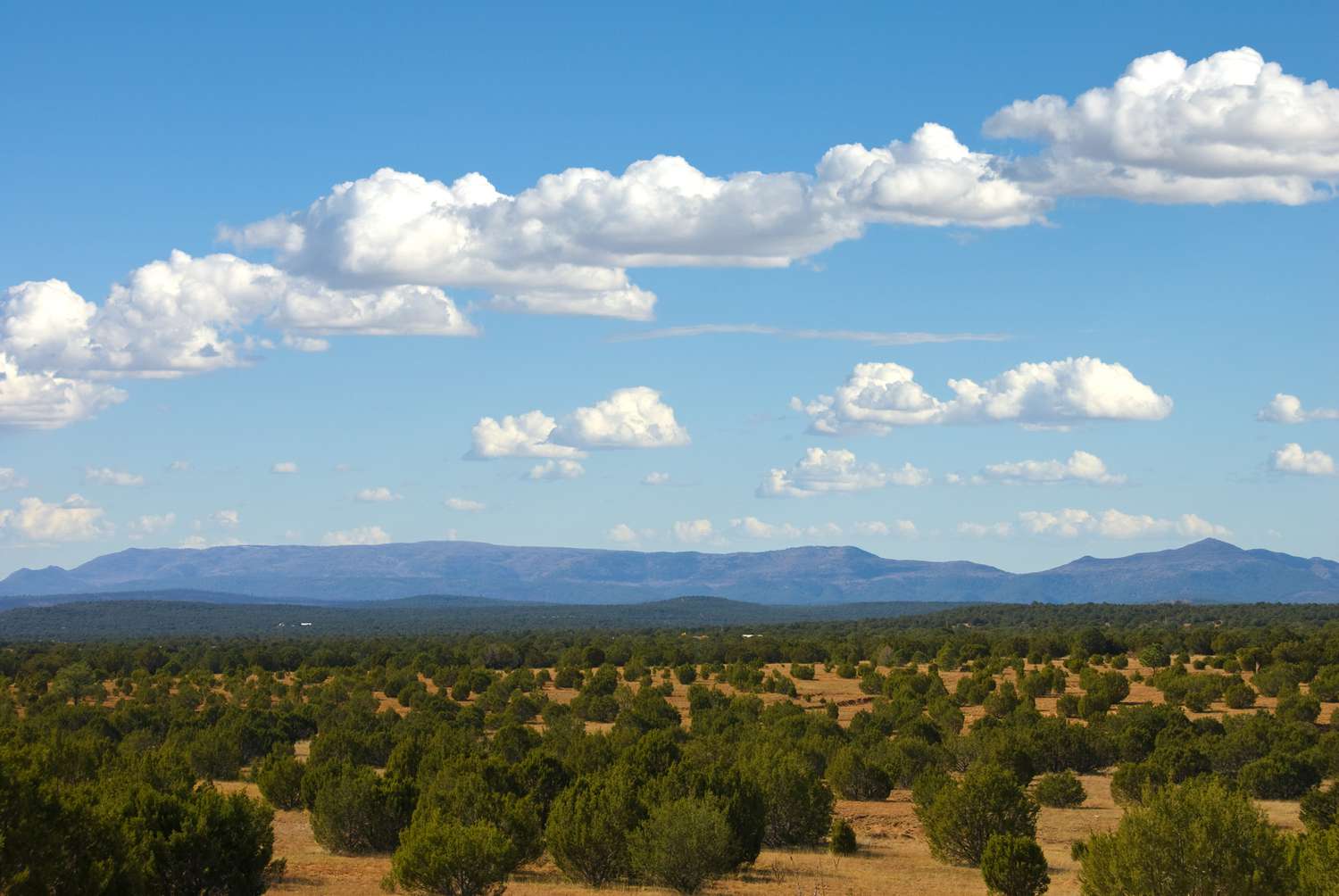 Vierailee Albuquerquen Sandia 