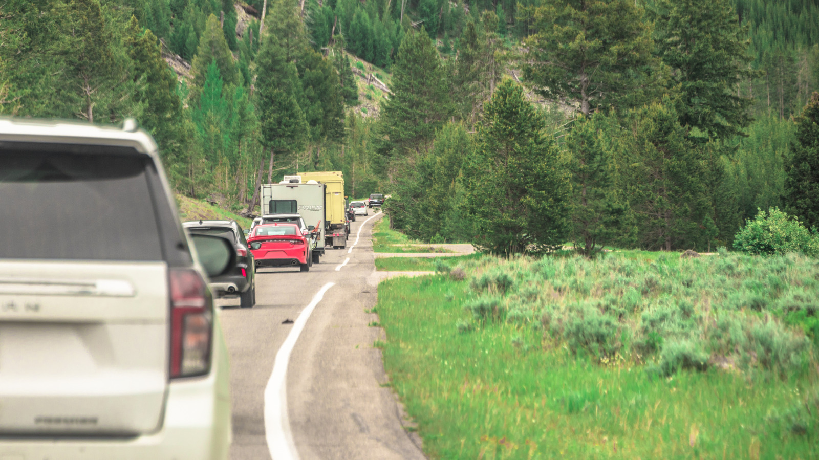 4 ylikansoitettua Yhdysvaltain kansallispuistoa, jotka pääsivät eroon varauksista vuonna 2026