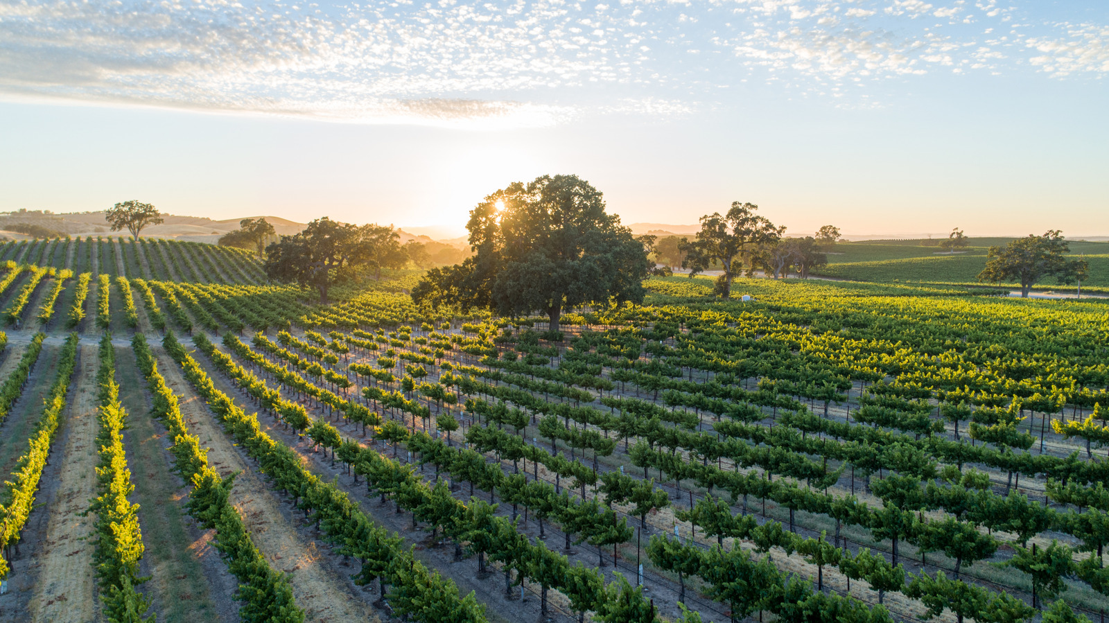 Unohda Napa Valley, hemmottele Kalifornian rennompaa viinimaaparatiisia
