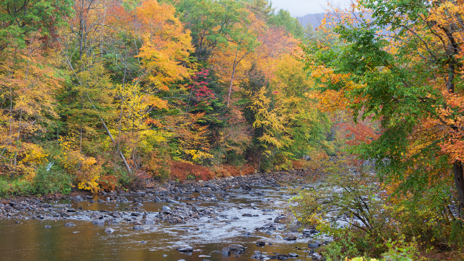 New Yorkin "All-Season Vacationland" on aliarvostettu Adirondack-kaupunki täynnä ulkoilua