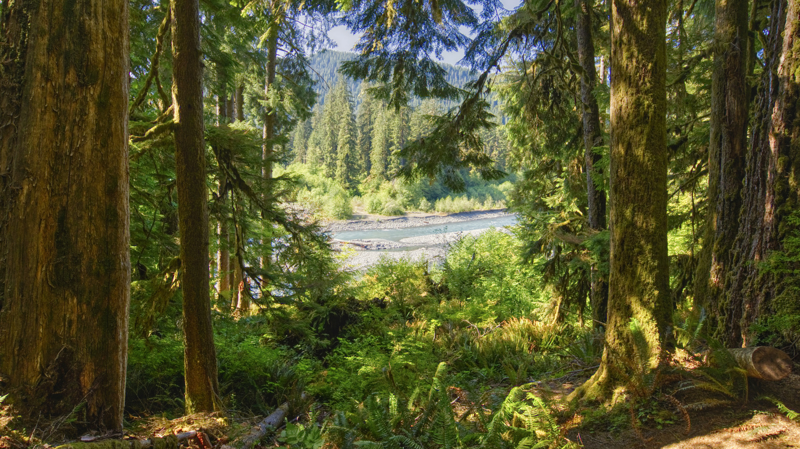 Washingtonissa on yksi suosituimmista kansallispuistoista Yhdysvalloissa