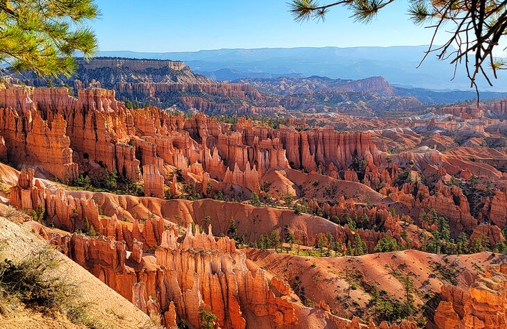 Las Vegasista Bryce Canyonin kansallispuistoon: tapoja päästä sinne
